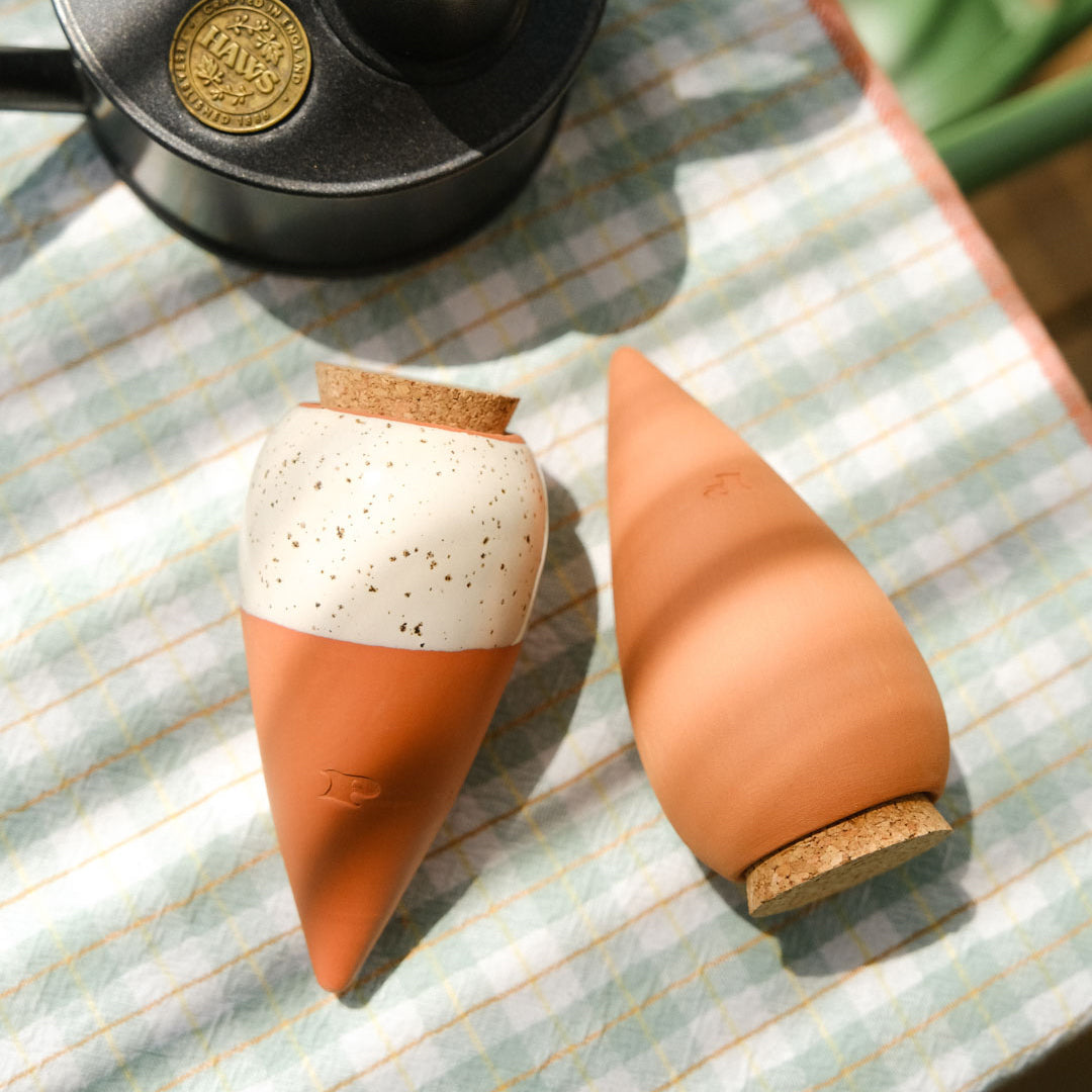Mini Ollas Self-Watering Pots - Set of 3