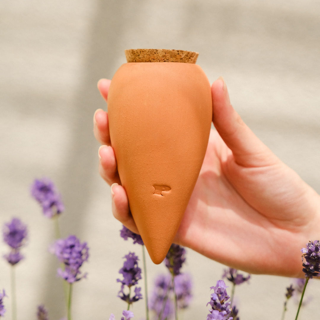 Mini Ollas Self-Watering Pots - Set of 3
