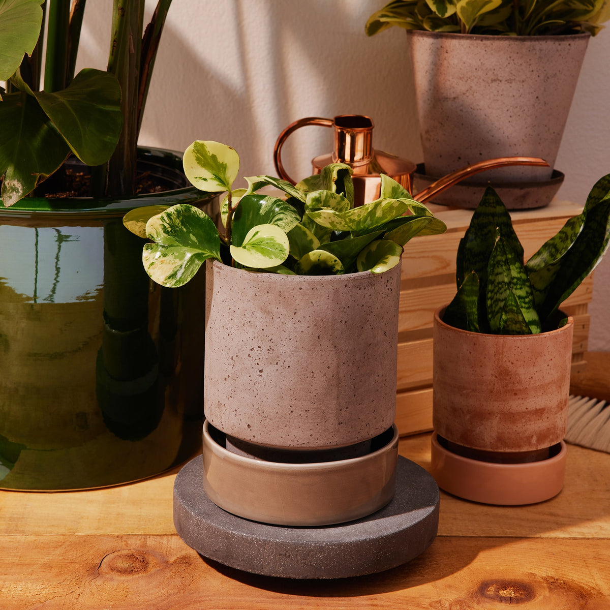 Plant Trolley Ø25