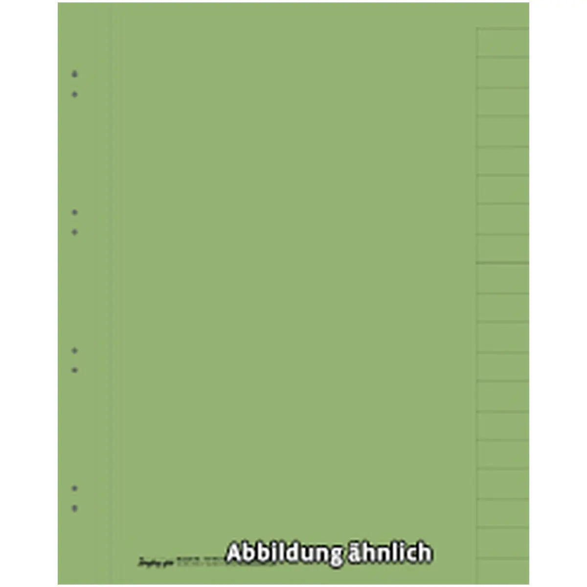 Register, 20-teilig, grün, DIN A4, breiter, Karton