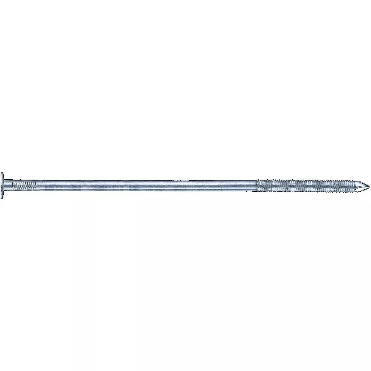 Sparrenagel