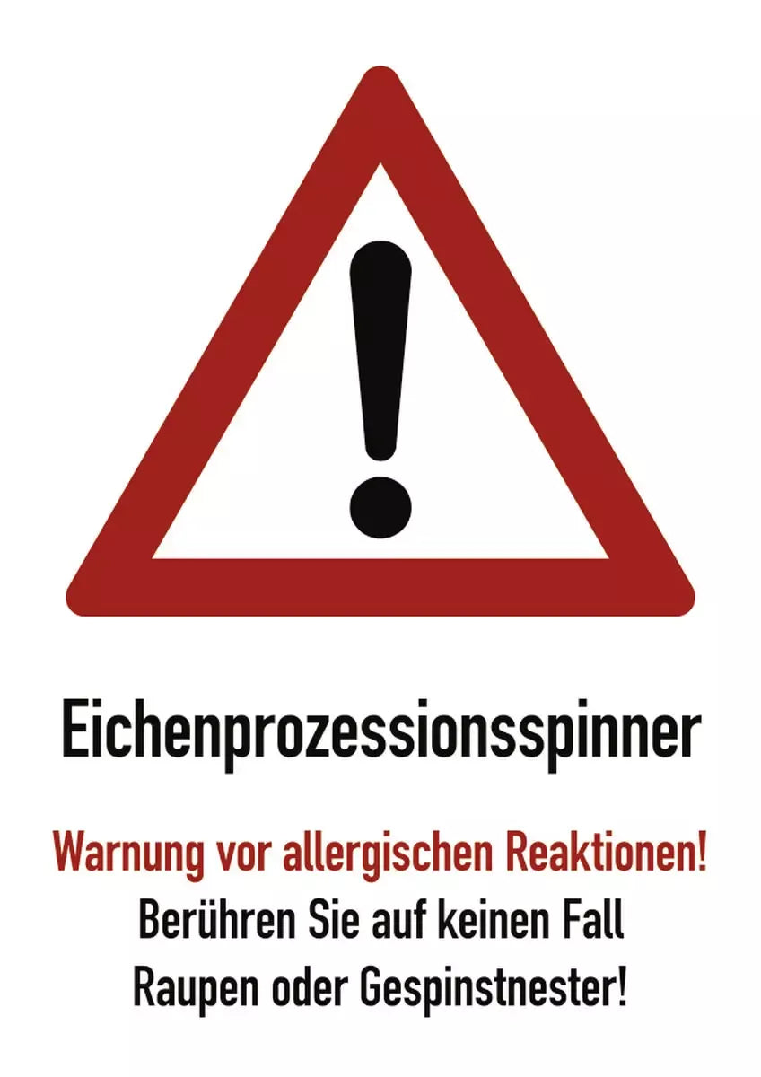 Eichenprozessionsspinner Warnung vor allergischen Reaktionen! ...