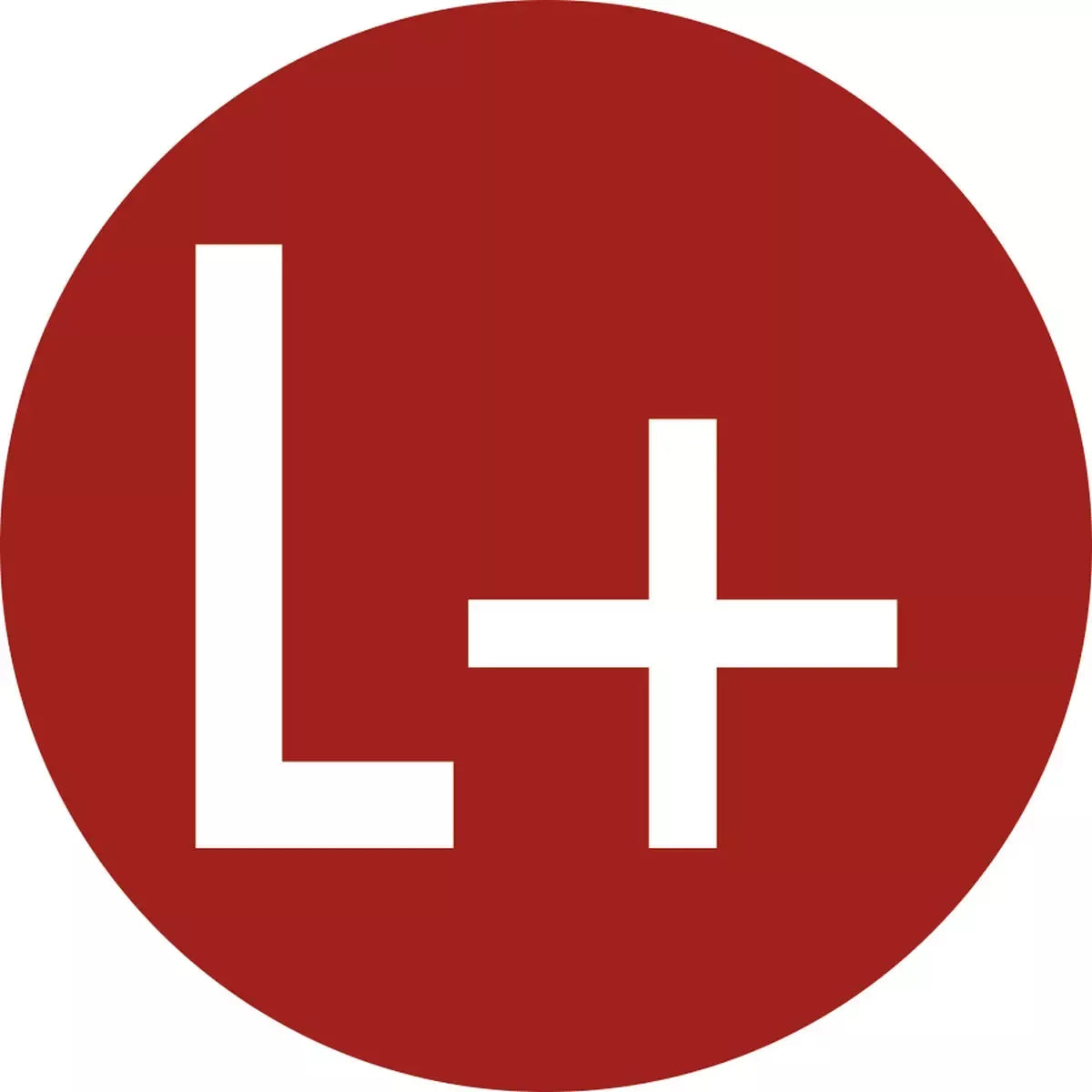 Gleichstromleiter Positiv, Textschild, DIN EN 60445