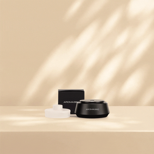 Free Diffuser Set