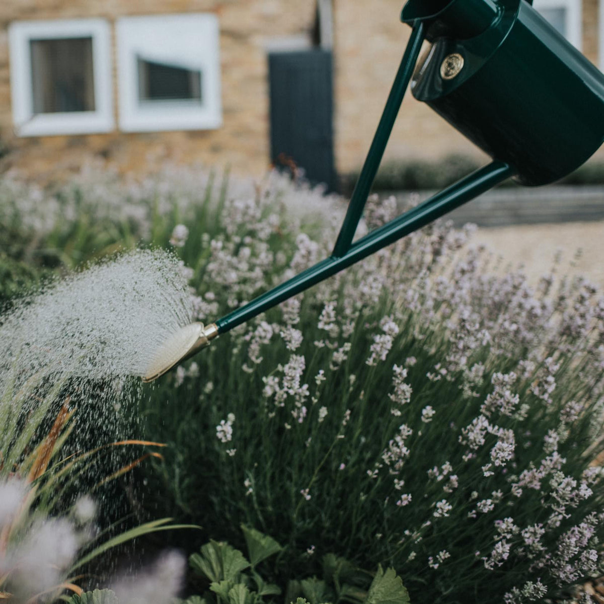 The Warley Fall (One Gallon)