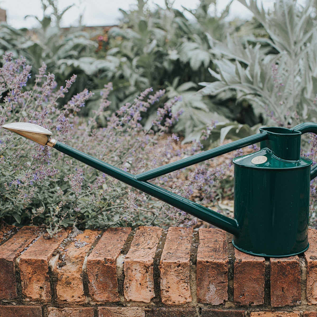 The Warley Fall (Two Gallon)