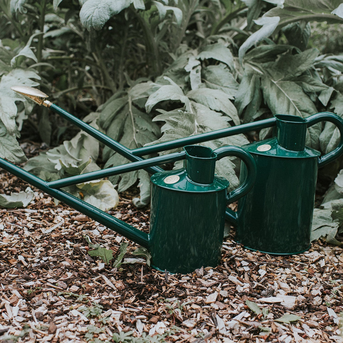 The Warley Fall (Two Gallon)