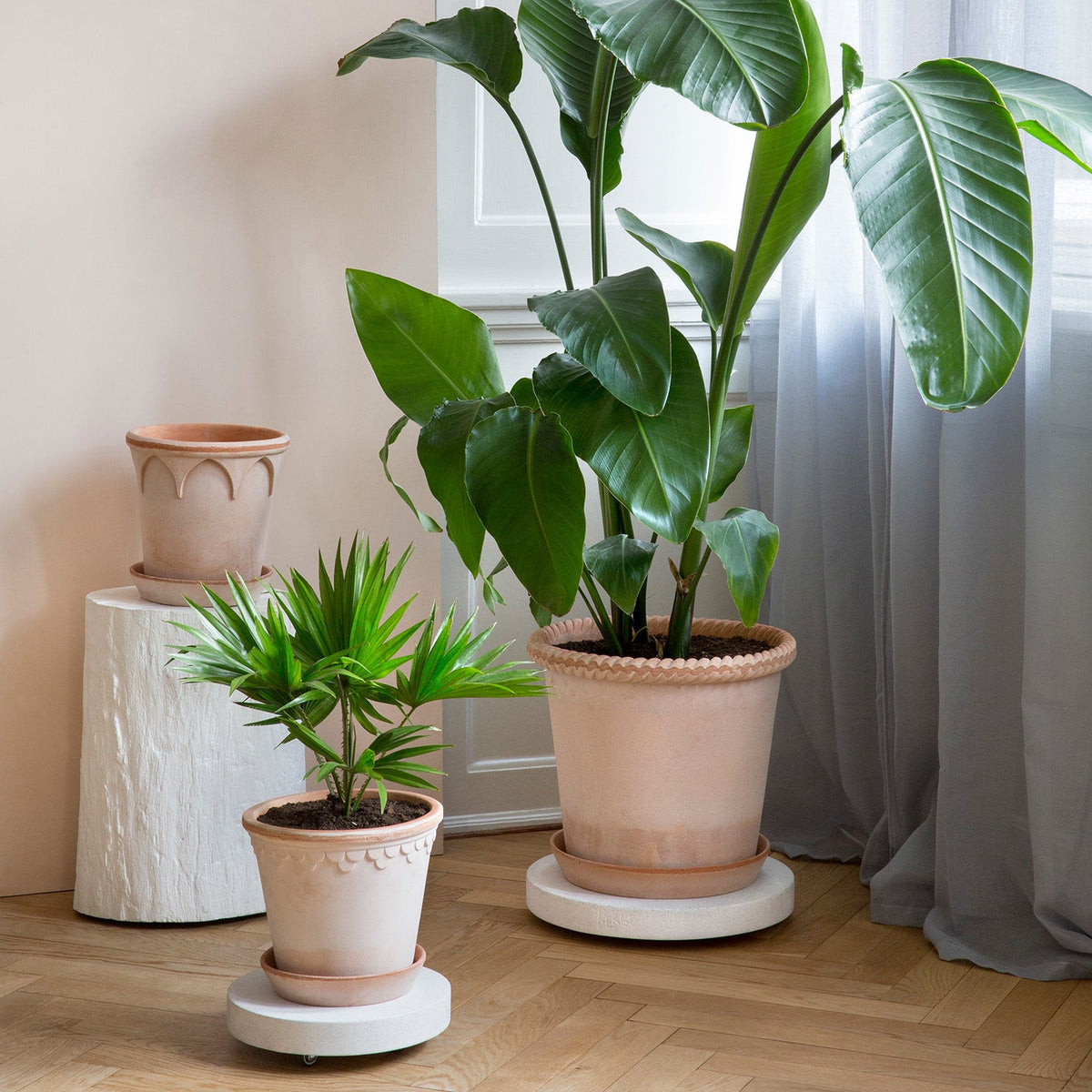 Plant Trolley Ø25