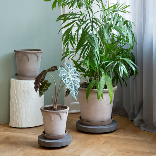 Plant Trolley Ø25