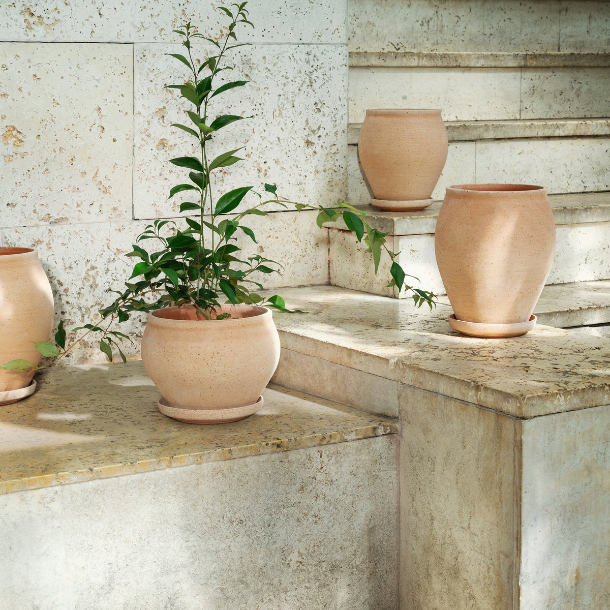 Delphi Ø22 Tall Planter & Saucer