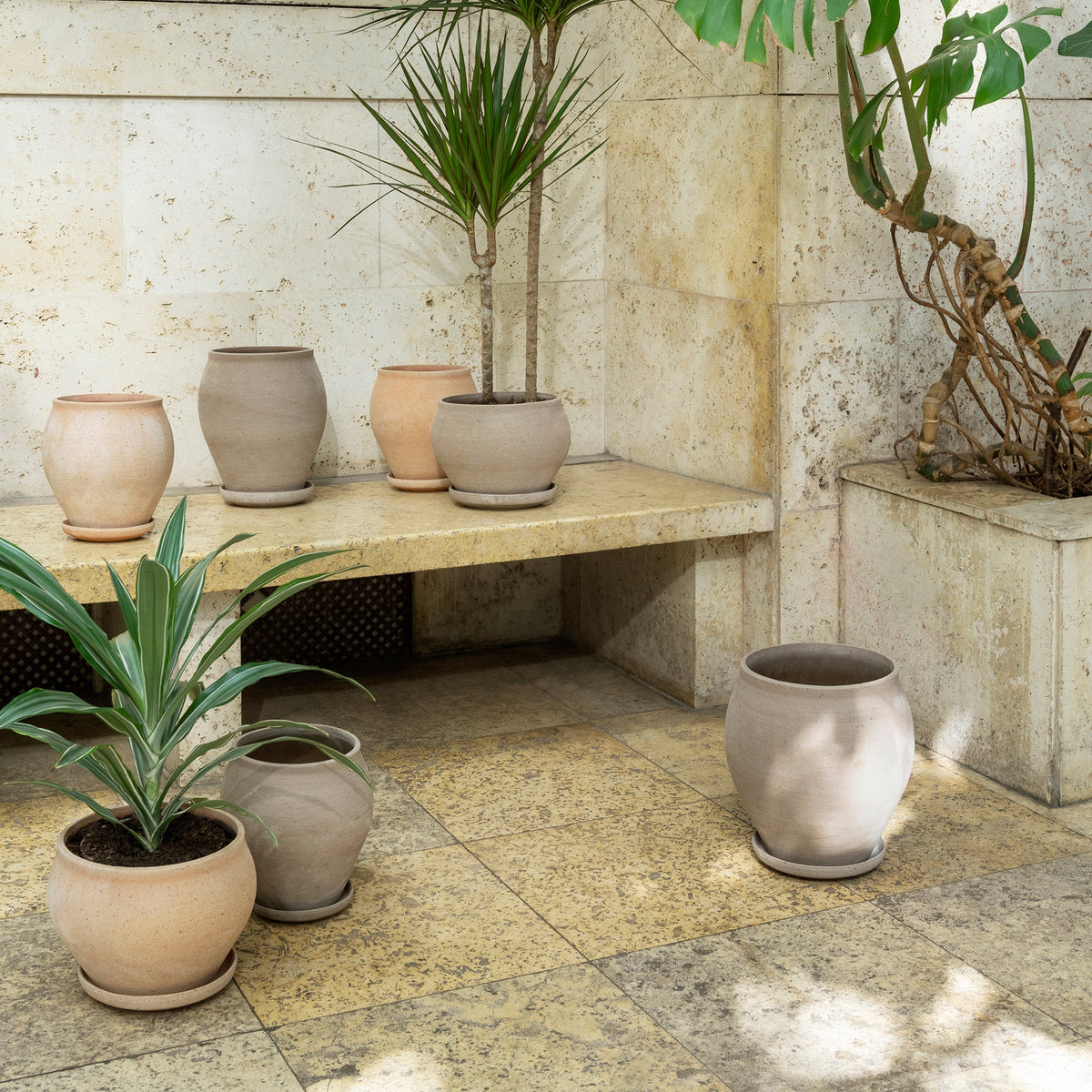 Delphi Ø22 Tall Planter & Saucer