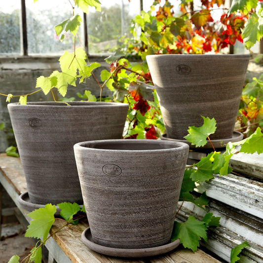 Julie Ø30 Planter & Saucer