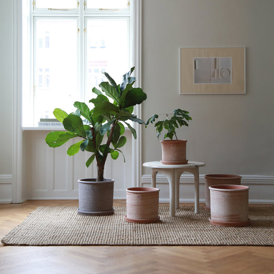 Modena Ø35 Planter & Saucer