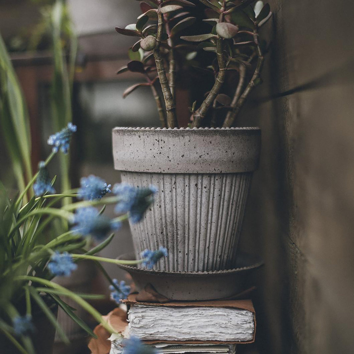 Simona Ø18 Planter & Saucer Gift Set