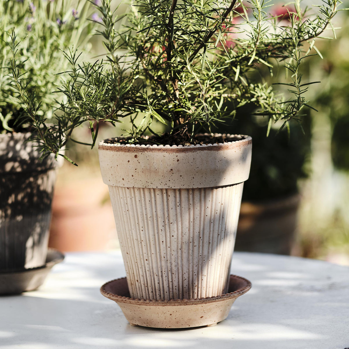 Simona Ø18 Planter & Saucer Gift Set