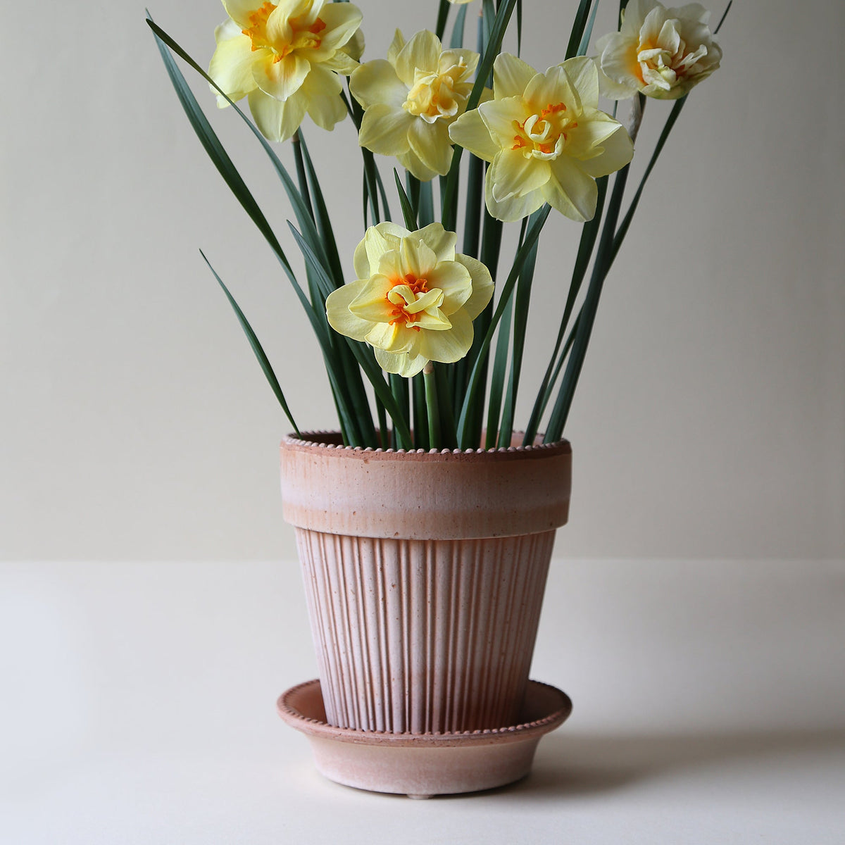 Simona Ø18 Planter & Saucer Gift Set