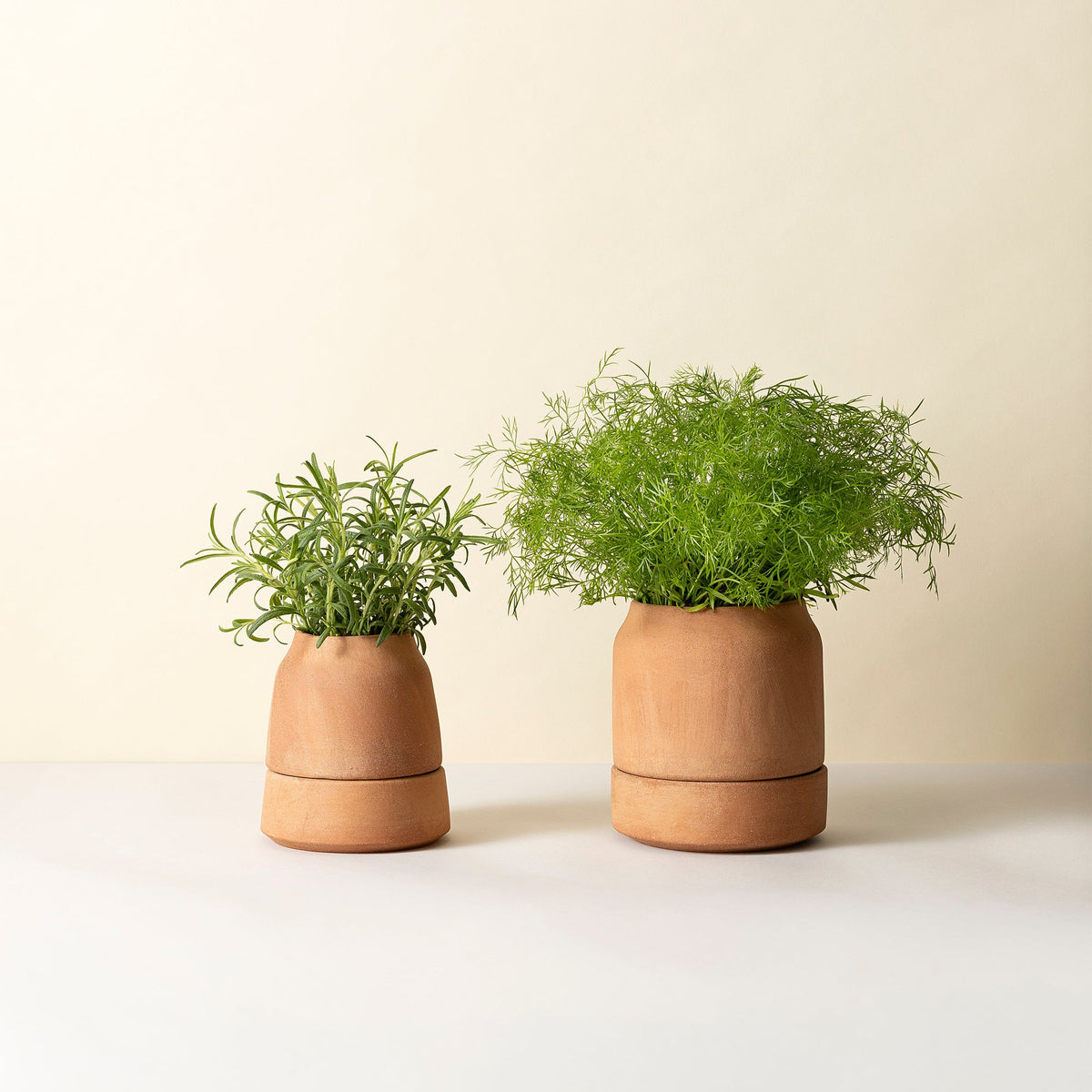 Viva Ø14 Self-Watering Planter & Saucer