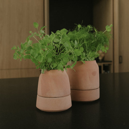 Viva Ø14 Self-Watering Planter & Saucer