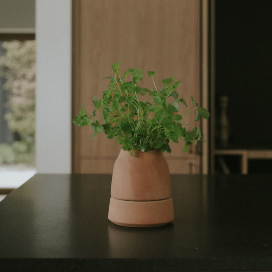 Viva Ø12 Self-Watering Planter & Saucer