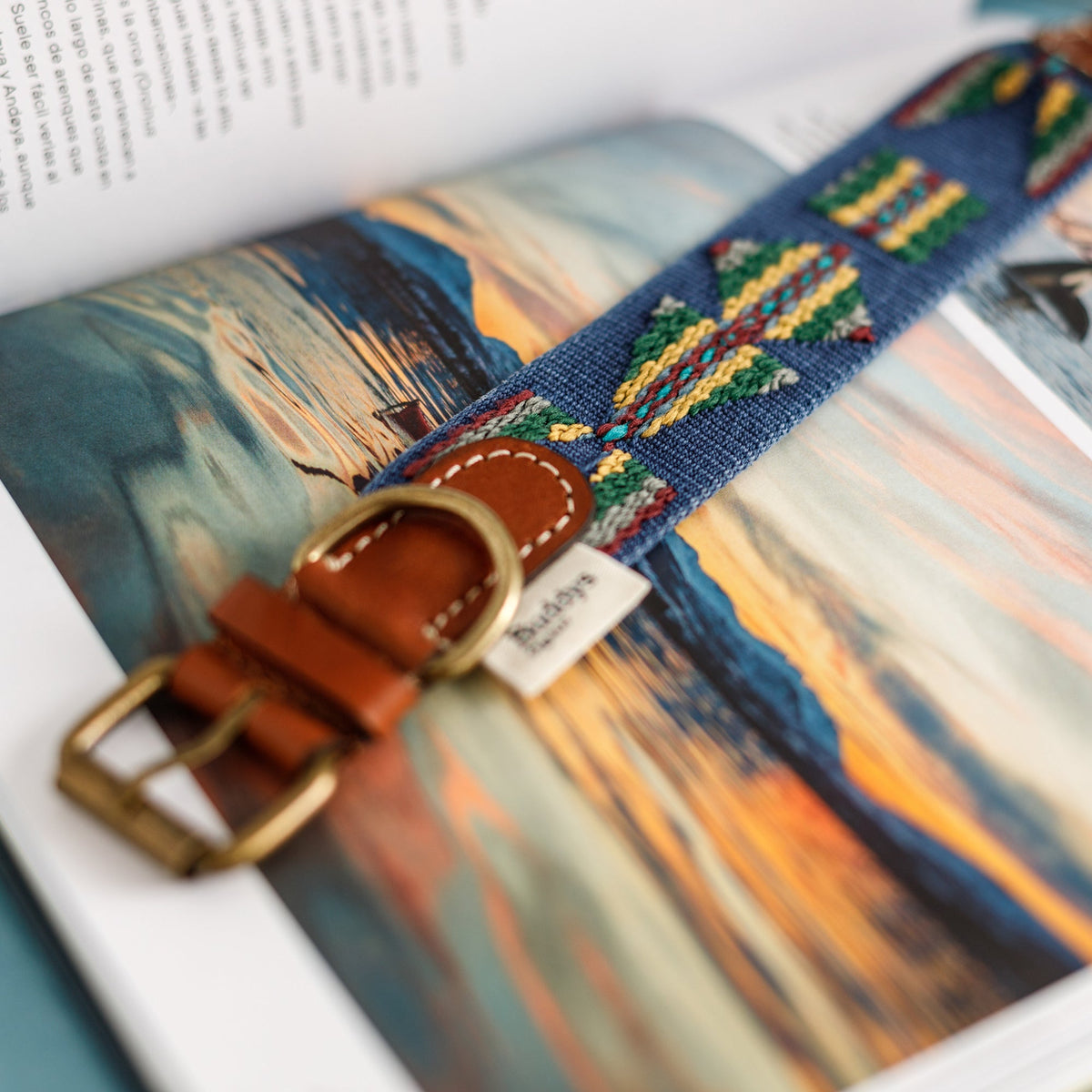 Etna Woven Cotton Dog Collar - Navy