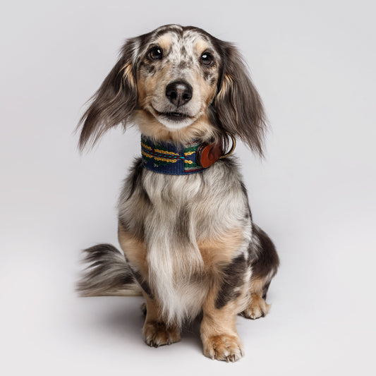 Etna Woven Cotton Dog Collar - Navy