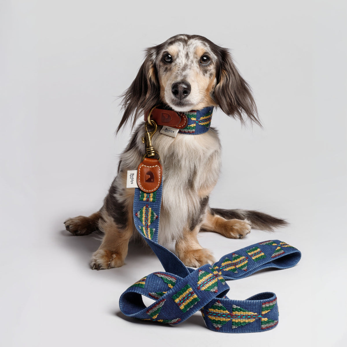 Etna Woven Cotton Dog Leash - Navy