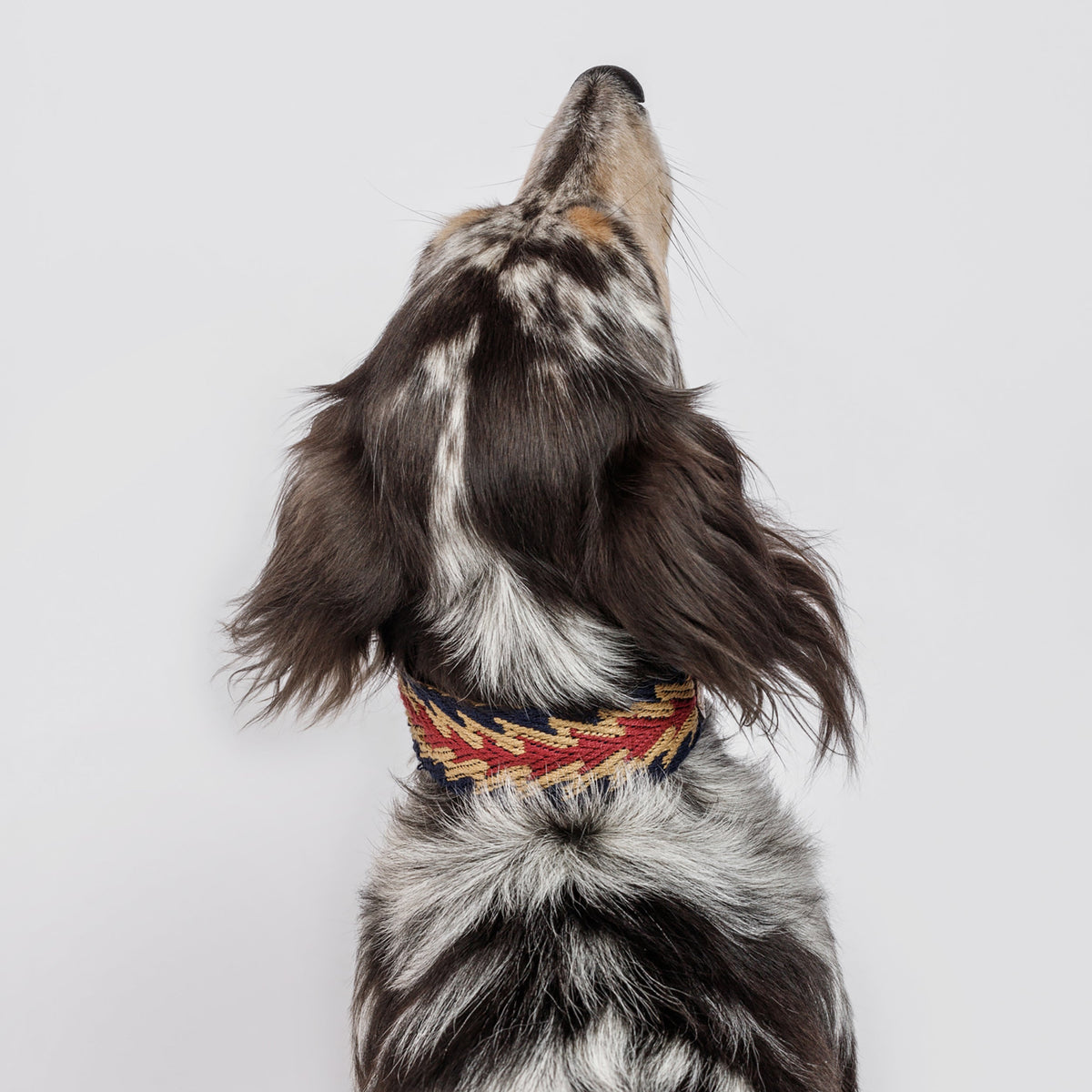 Peruvian Arrow Woven Cotton Dog Collar - Navy