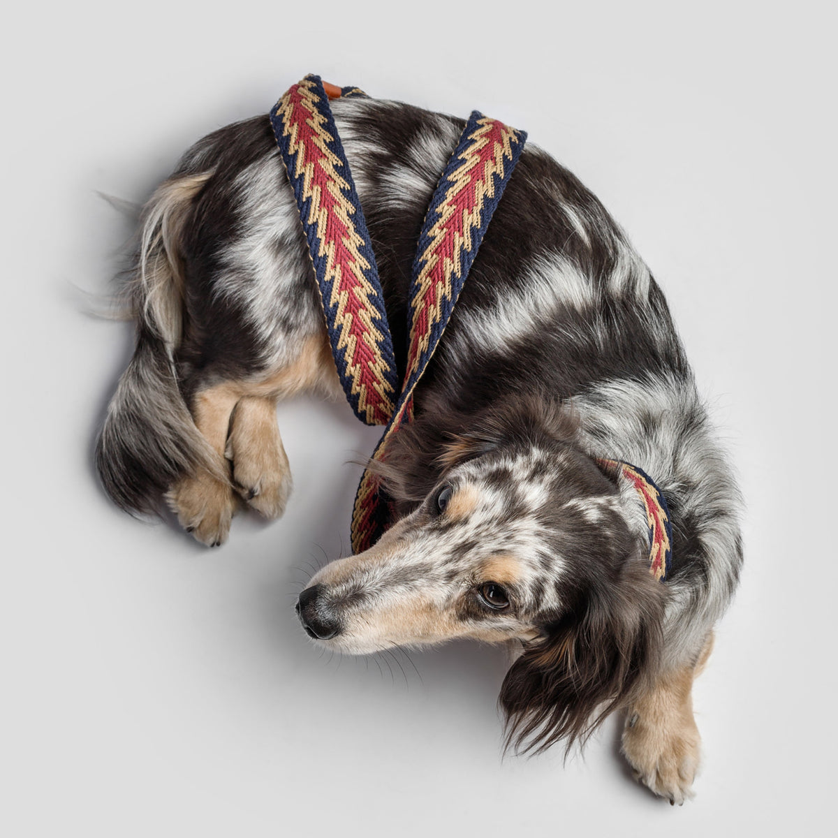 Peruvian Arrow Woven Cotton Dog Leash - Navy