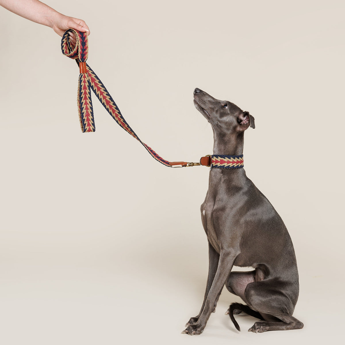 Peruvian Arrow Woven Cotton Dog Leash - Navy