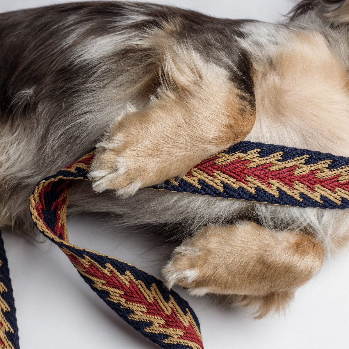 Peruvian Arrow Woven Cotton Dog Leash - Navy