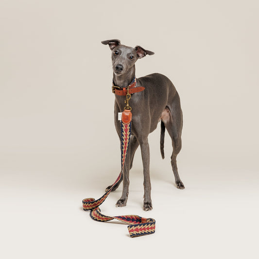 Peruvian Arrow Woven Cotton Dog Leash - Navy