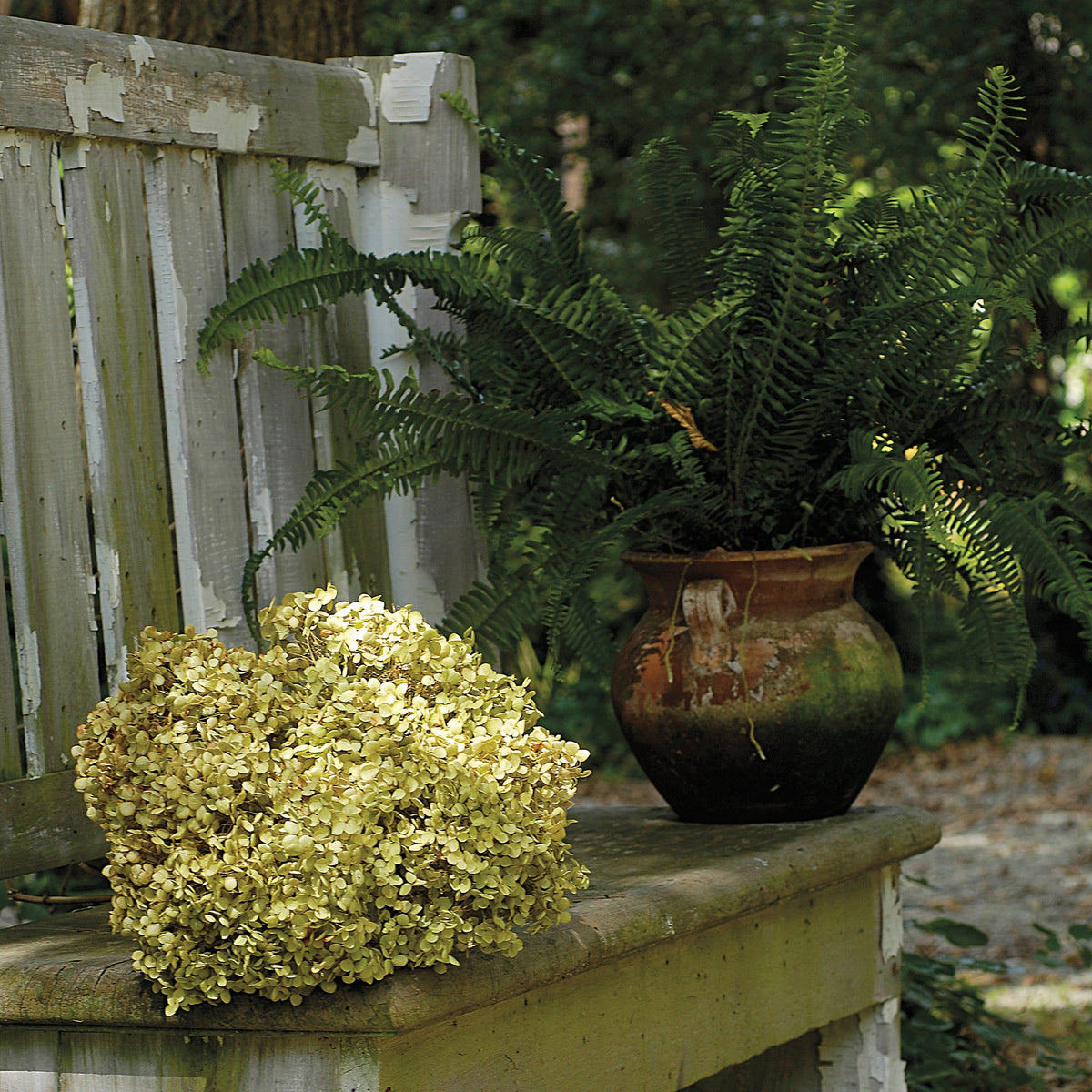 Aged Allende Urn Planter - Medium
