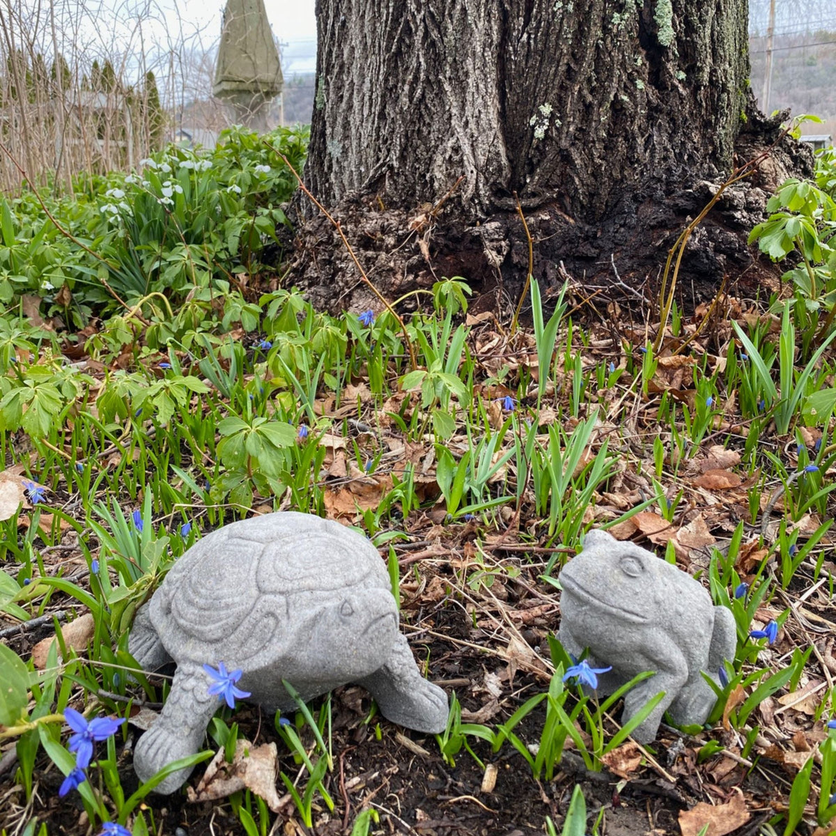 Cast Stone Aged Garden Turtle Statue