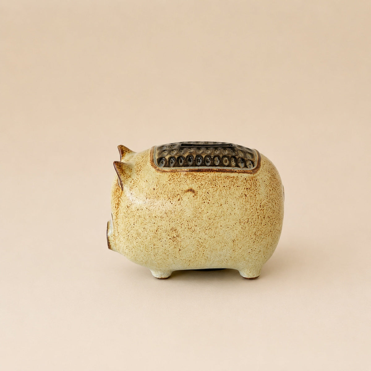 Pig Money Bank