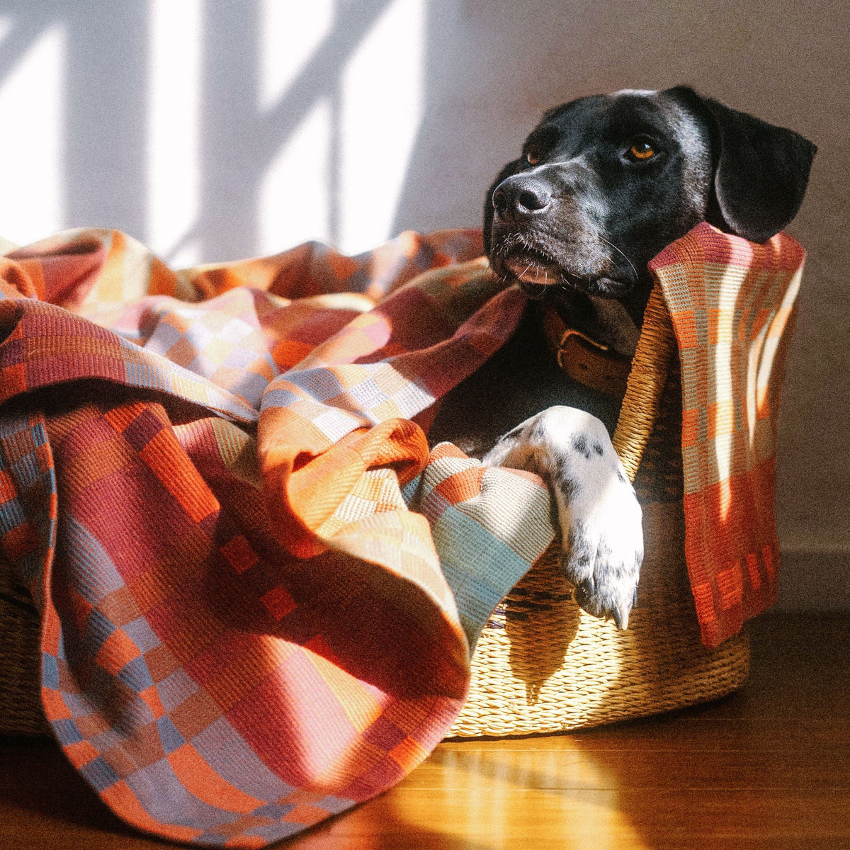 Fido Cotton Dog Blanket - Ginger - Large