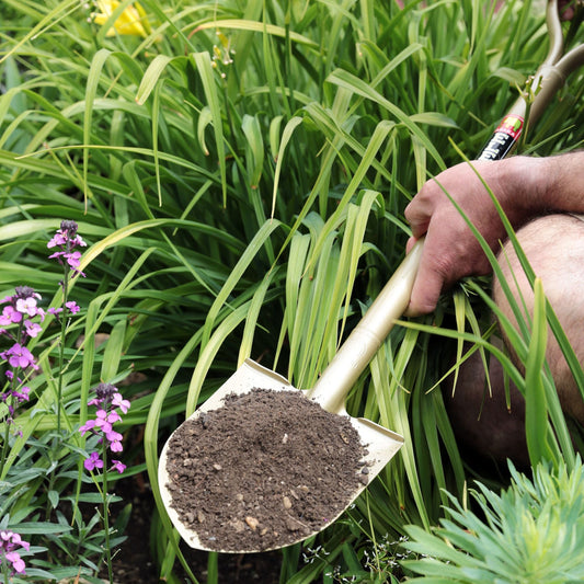 Small Golden Spade
