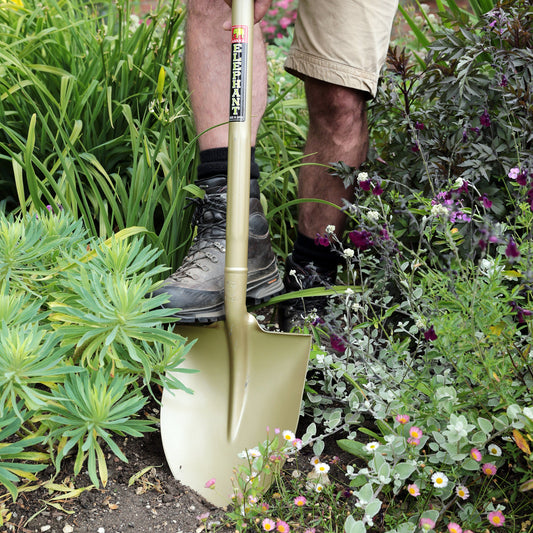 Standard Golden Spade