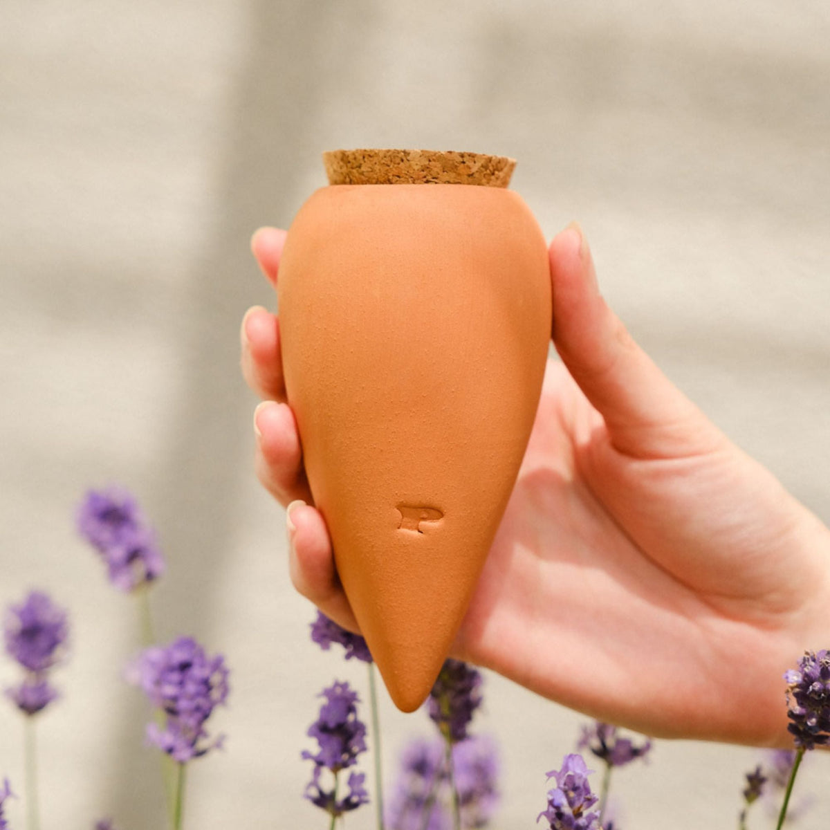 Mini Ollas Self-Watering Pots - Glaze- Set of 3