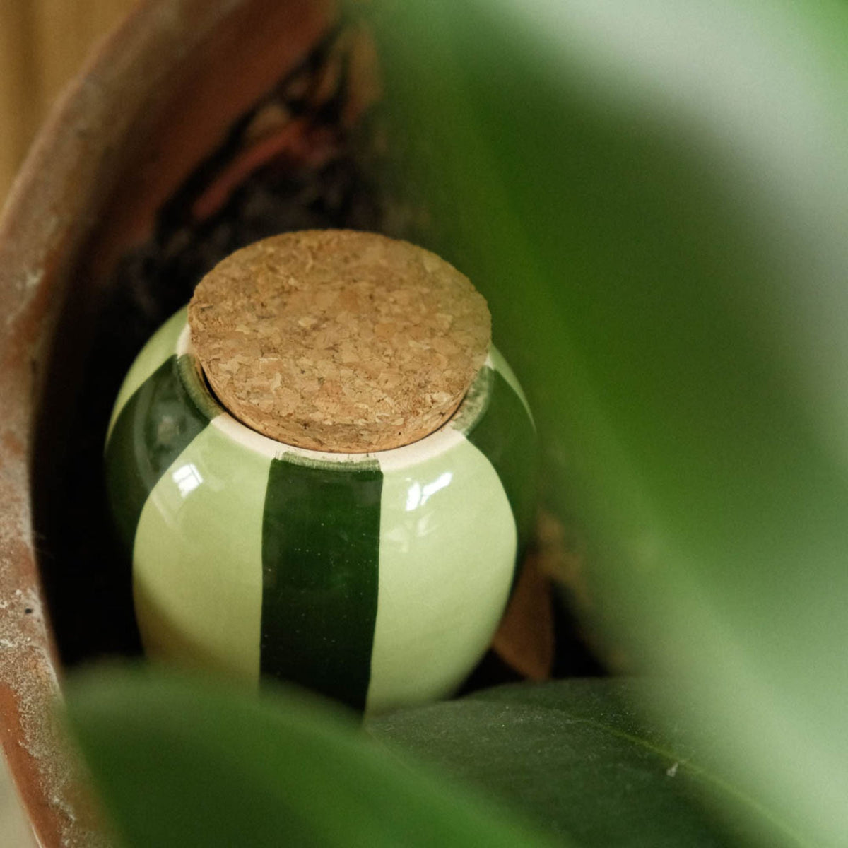 Olla Self-Watering Pot - Glaze