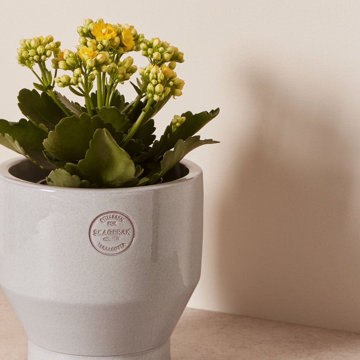 Edge Ø18 Planter