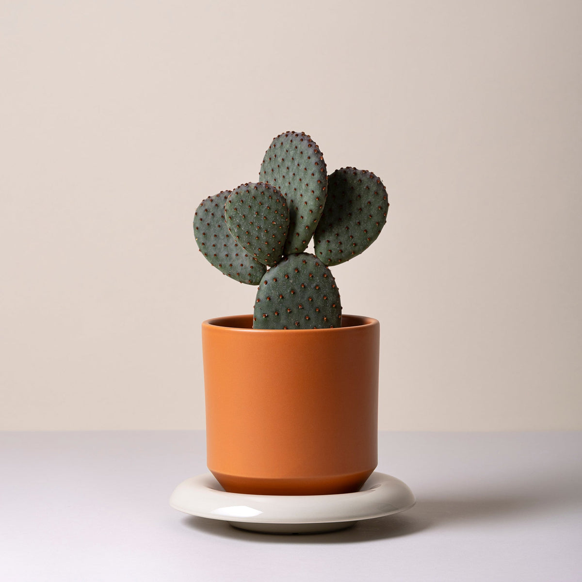 Lily Ø14 Planter
