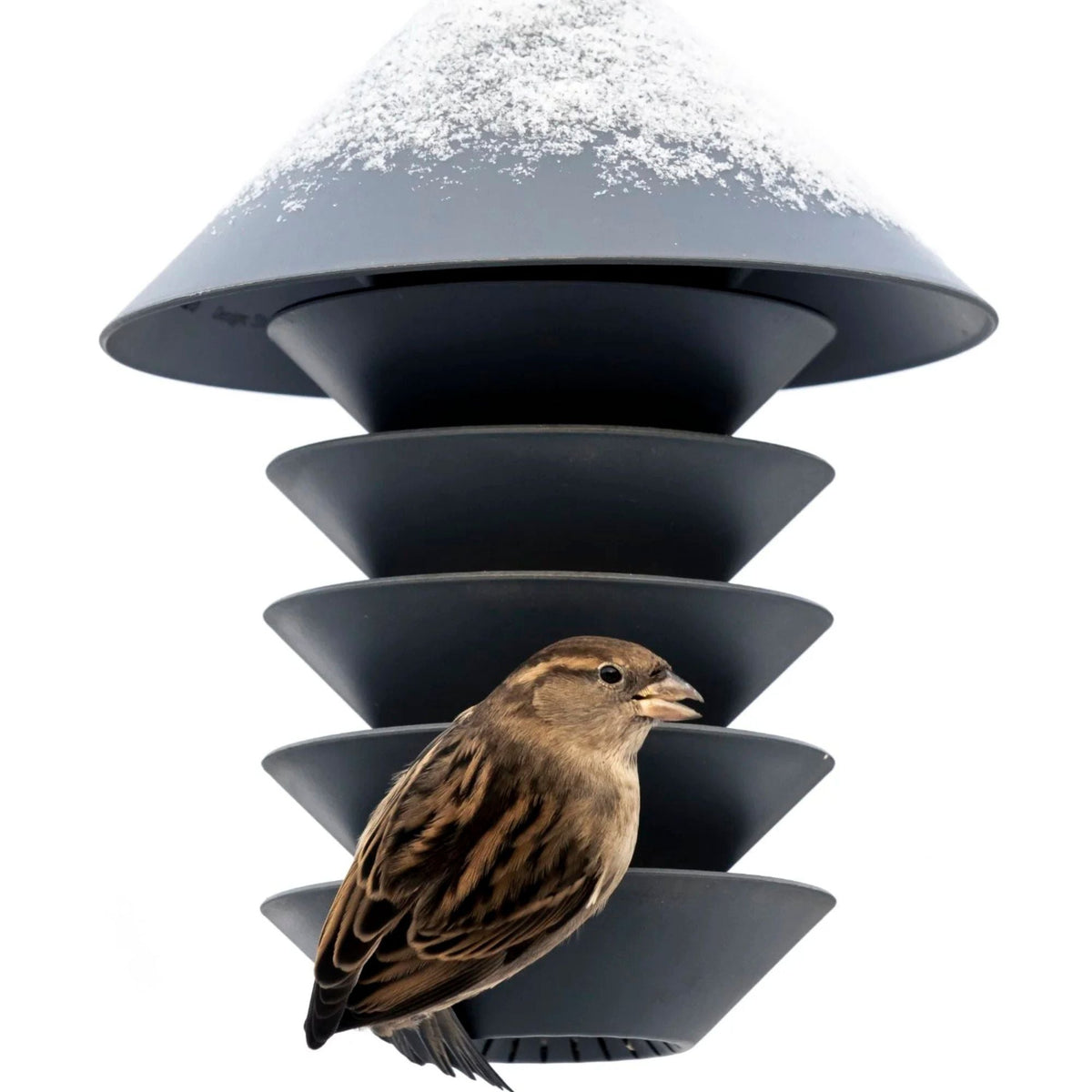 Silo Bird Feeder - Slate