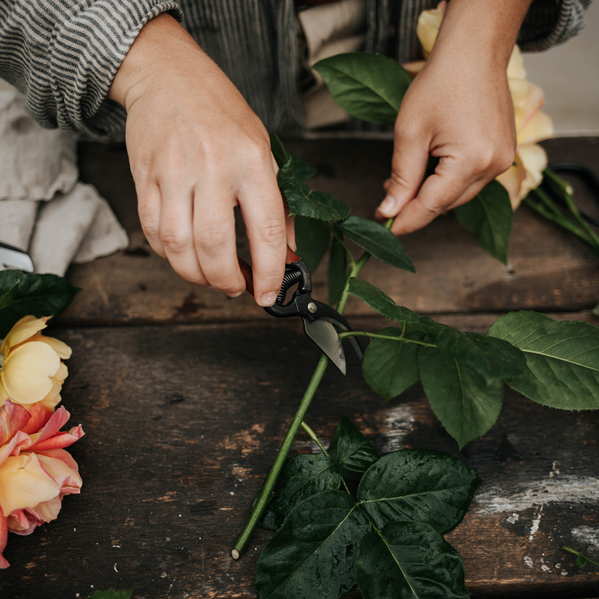 Mini Secateurs