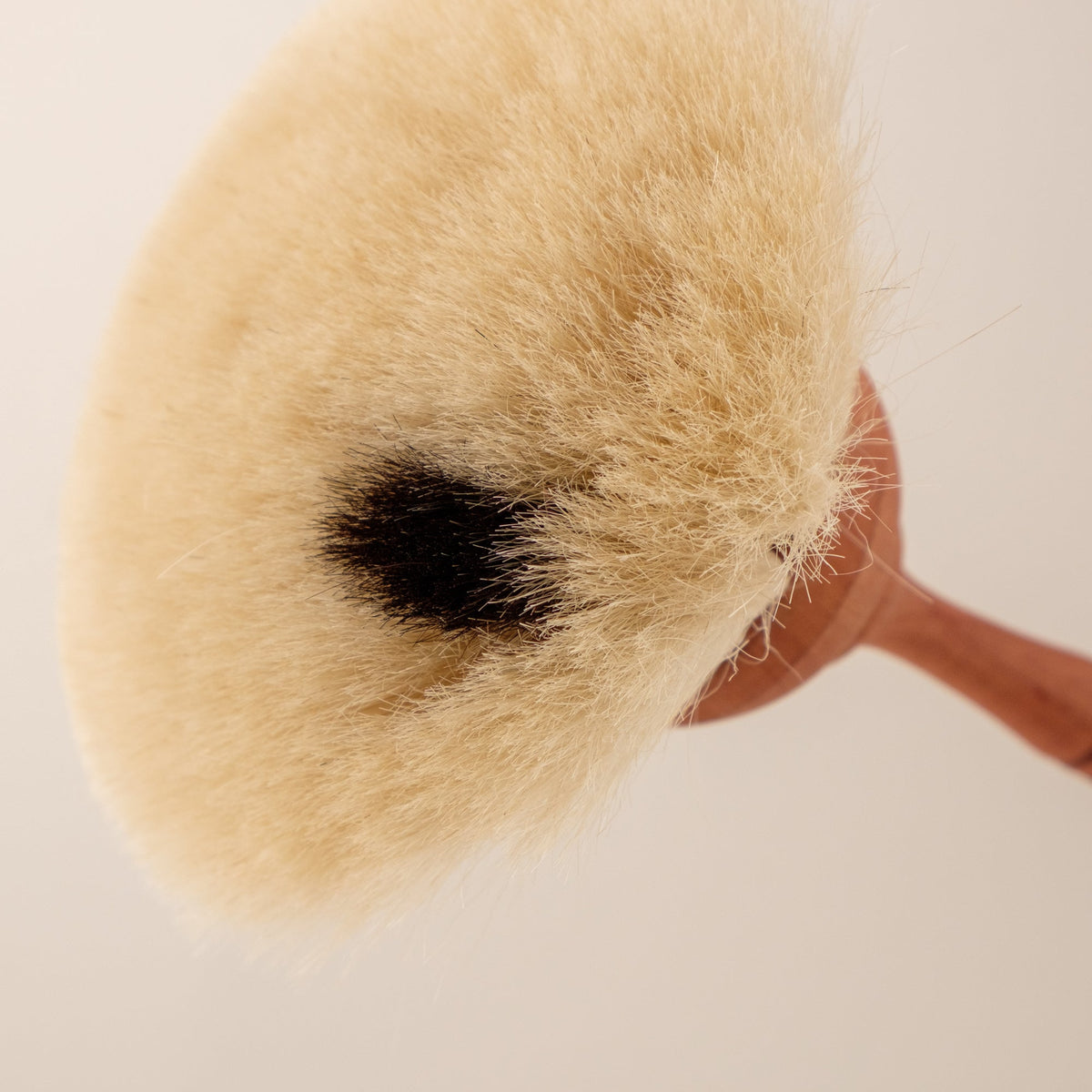 Dust Brush
