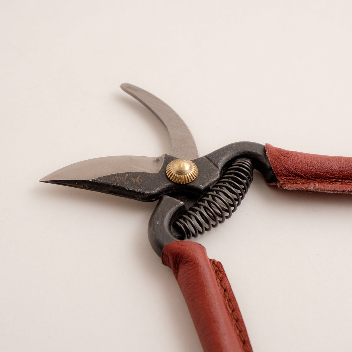Mini Secateurs