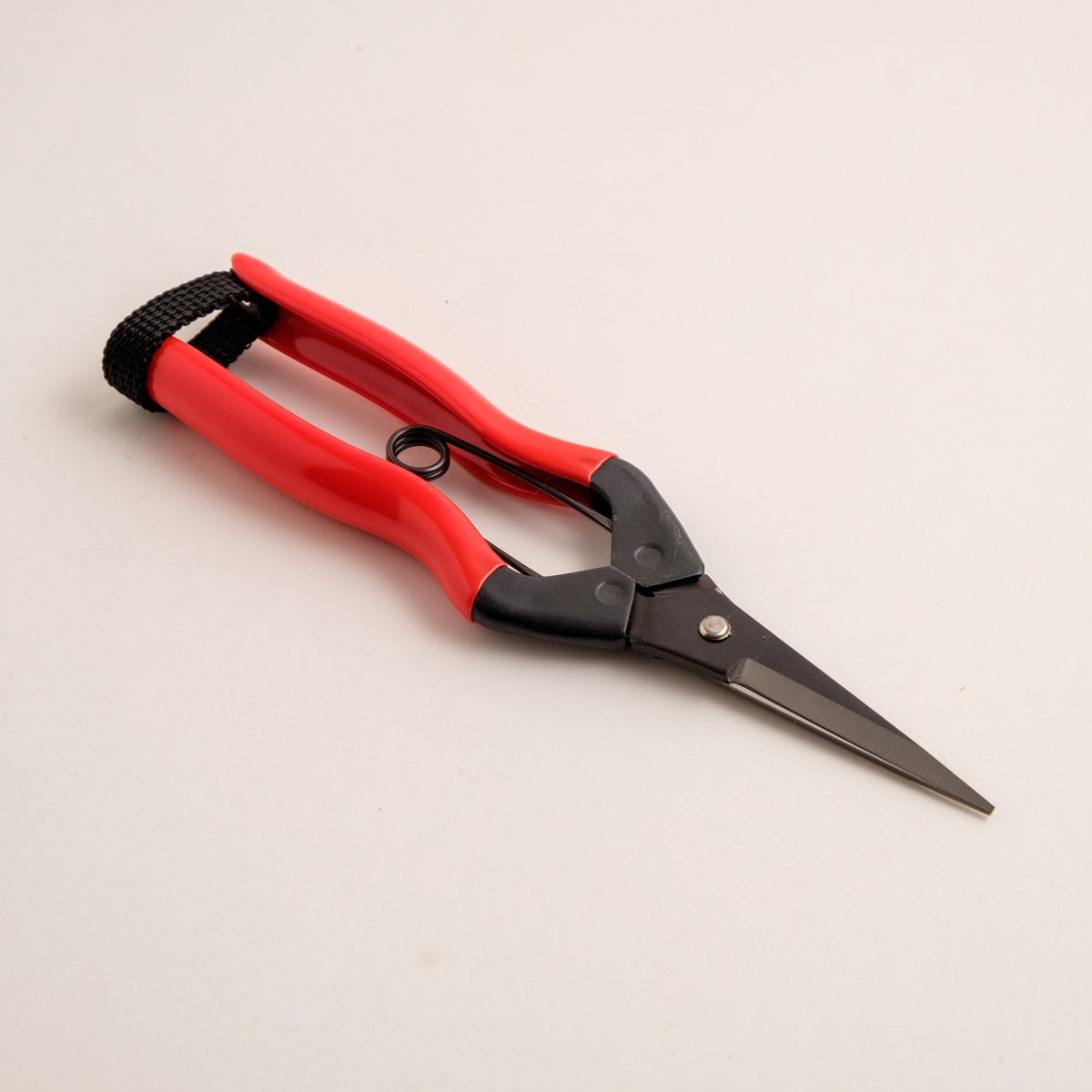 Garden Snips