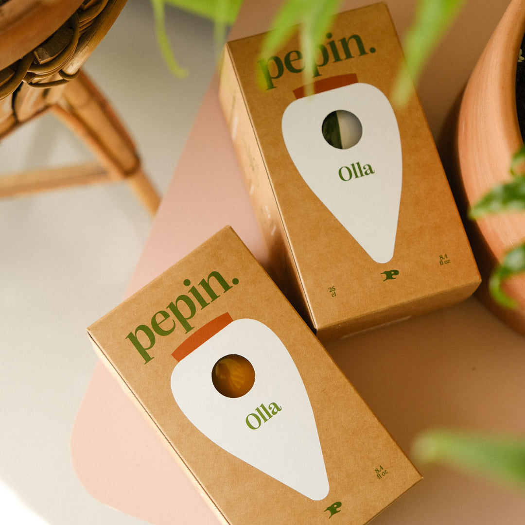 Olla Self-Watering Pot - Raw