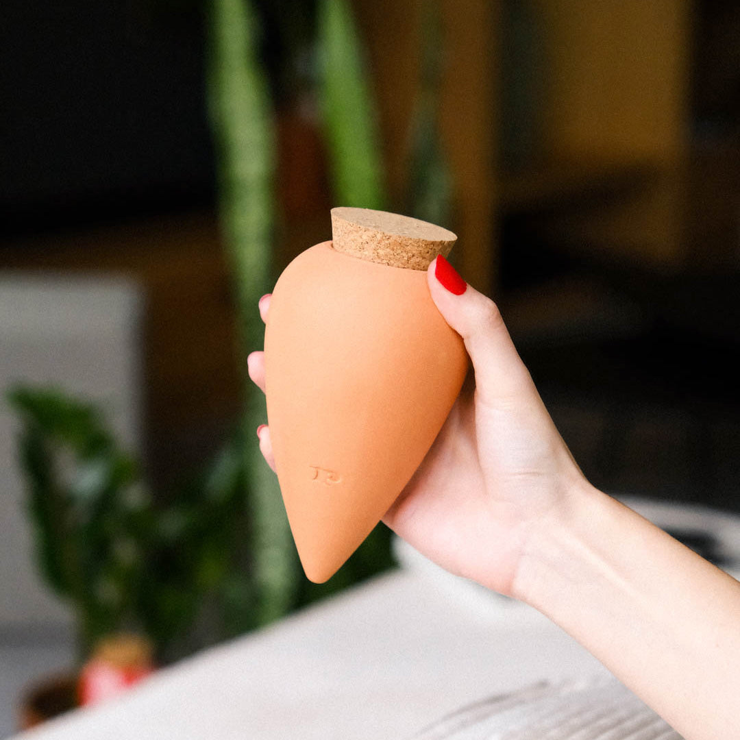 Olla Self-Watering Pot - Raw
