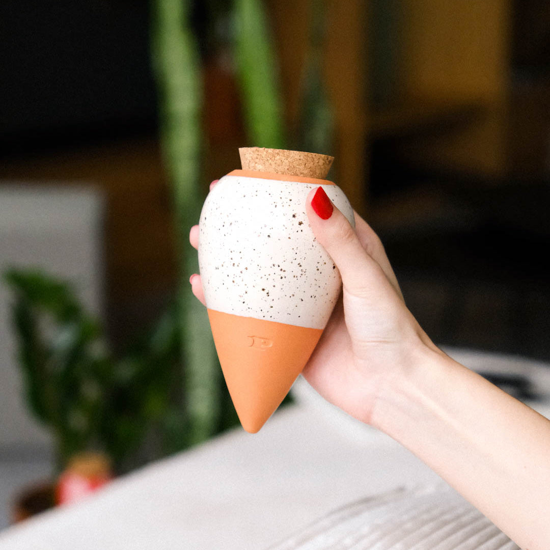 Olla Self-Watering Pot - Glaze