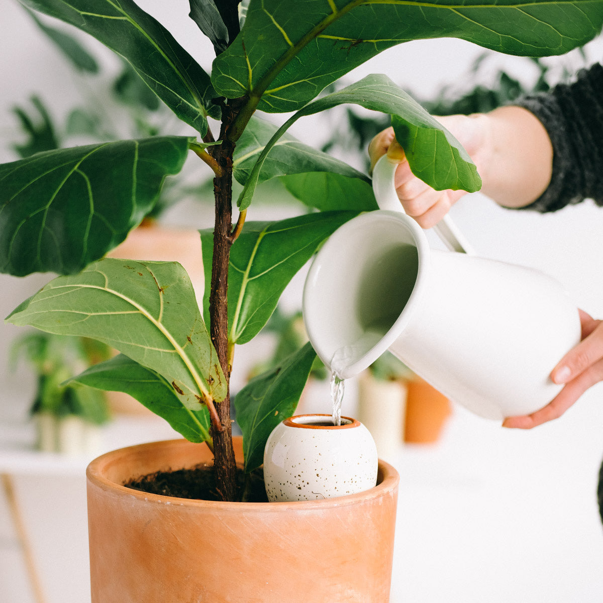 Olla Self-Watering Pot - Glaze